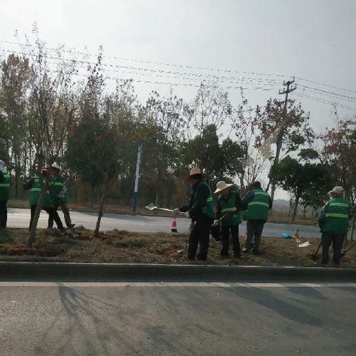 經(jīng)開區(qū)市政園林綠化工程推薦 秋樂(lè)園林，價(jià)格優(yōu)惠助力城市綠化管理