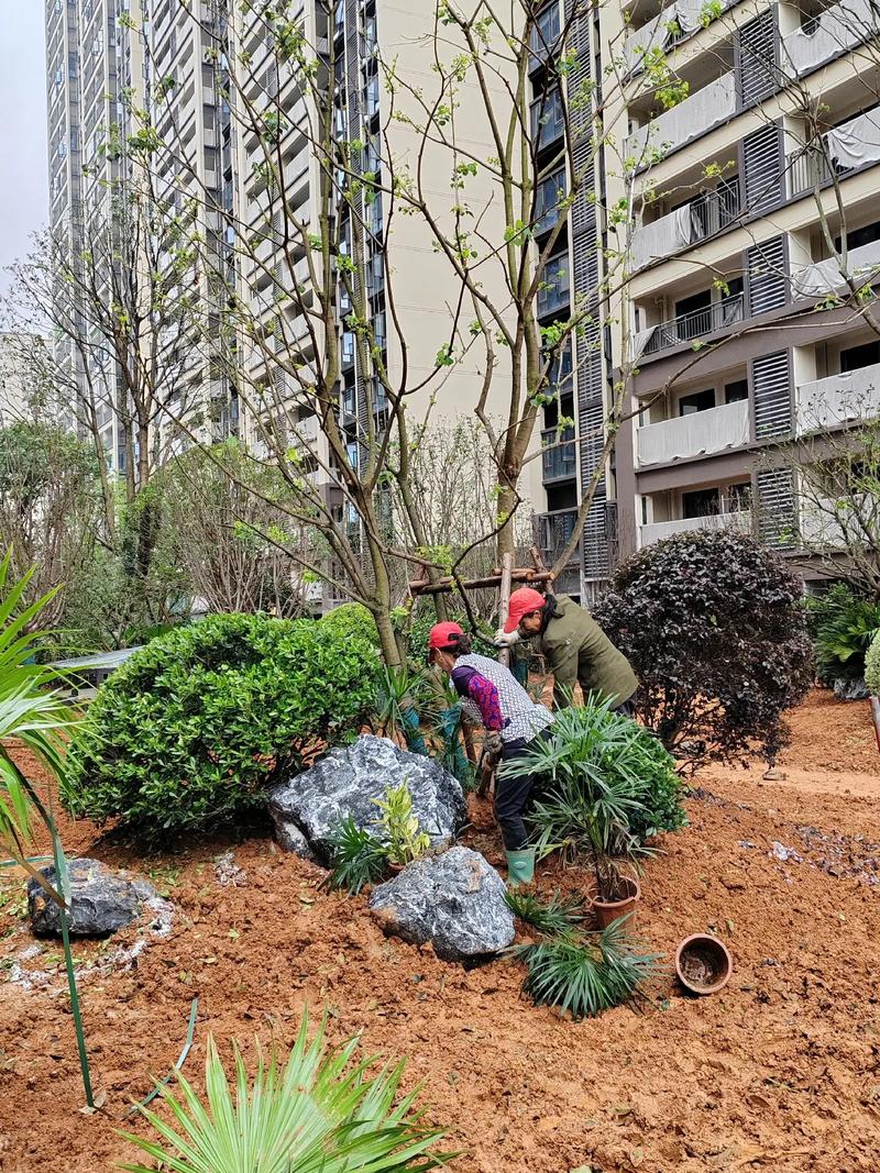 園林綠化工程 從設計到施工，打造宜居小區景觀